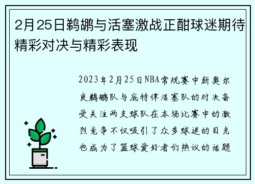 2月25日鹈鹕与活塞激战正酣球迷期待精彩对决与精彩表现